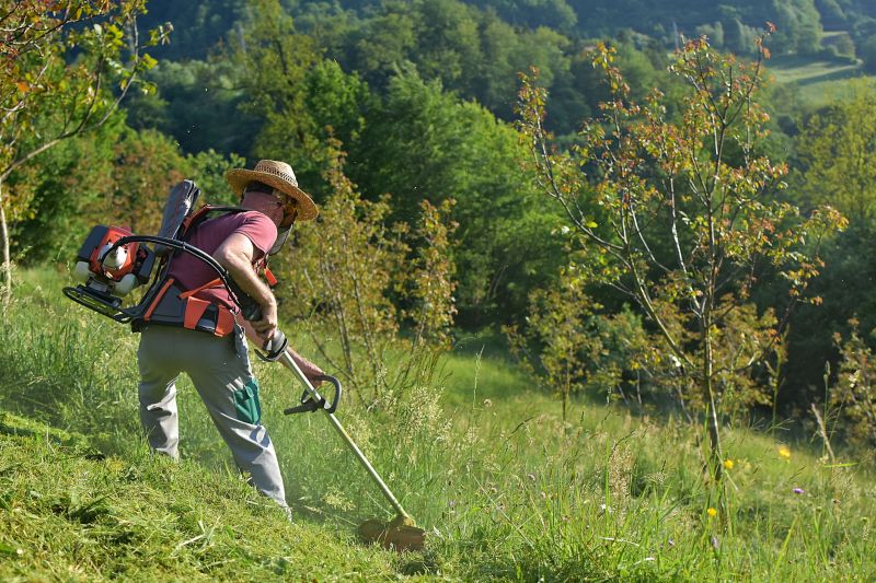 brush mowing