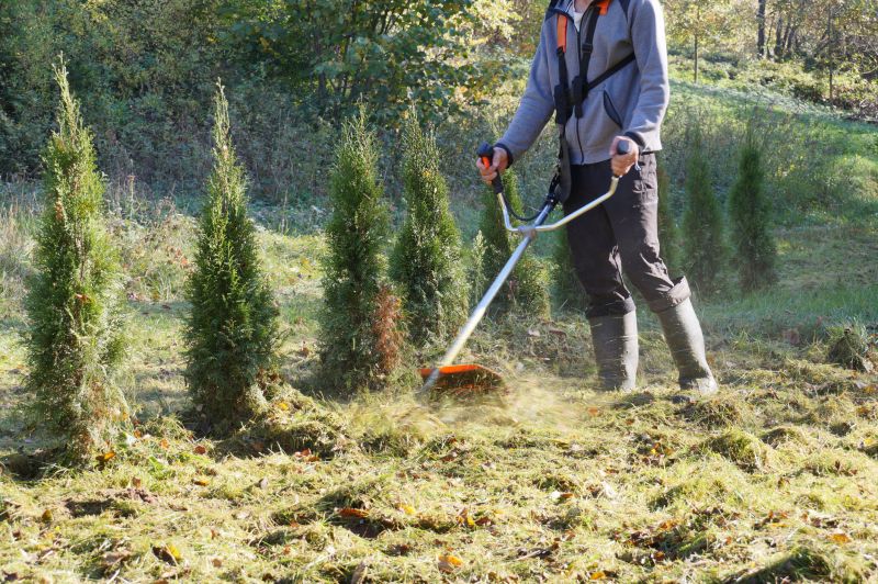 brush mowing