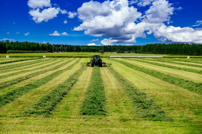 Acreage Mowing Service in Waldorf, MD