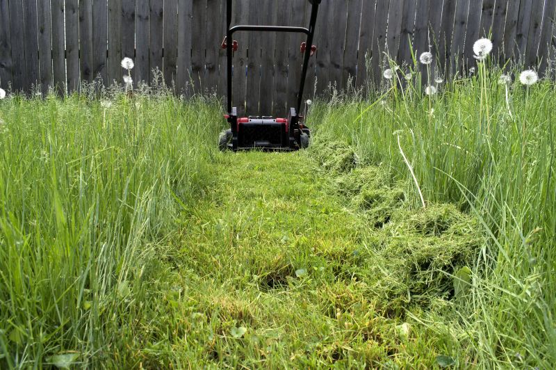 Brush Mowing