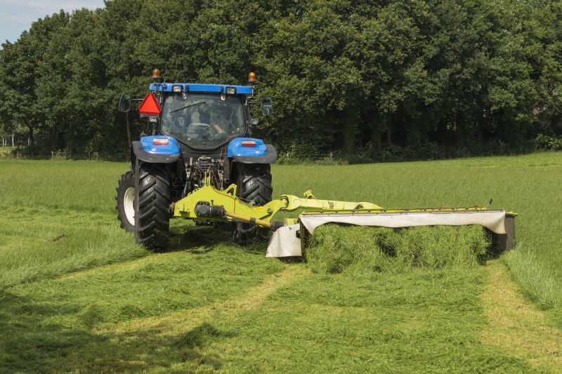 Brush Mowing Service in Calvert County, MD