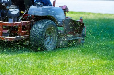 Bush Hog Mowing in Calvert County, MD