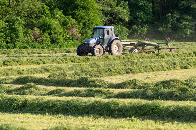 Bush Hog Mowing in Duluth, MN
